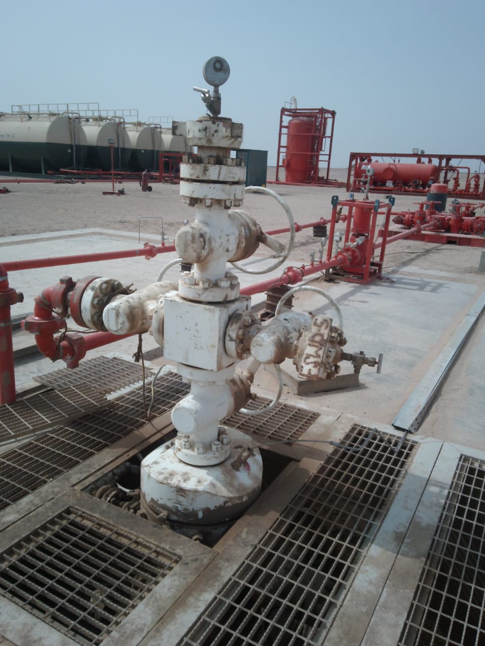 FARAH CPF PLANT – Concept Selection and BFD Study